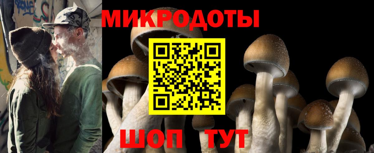 Набережные Челны  Псилоцибиновые грибы Magic Shrooms  Псилоцибиновые грибы Psilocybe  Вход с VPN 
